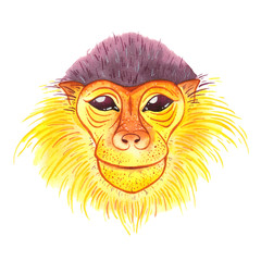 Watercolor black-footed langur on white background