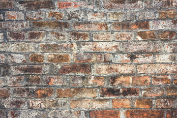 Naklejka premium Grunge brick wall texture.