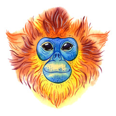 Vector watercolor golden snub-nosed monkey on white background