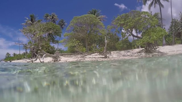 lagon et fonds marins de Polynésie française