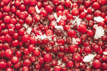 Iced cranberries for background. Selective focus