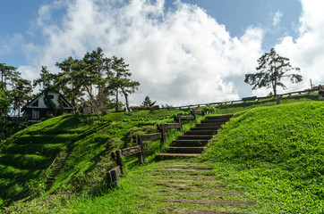 Fototapeta na wymiar Huai Nam Dang National Park in Chiang Mai,Thailand