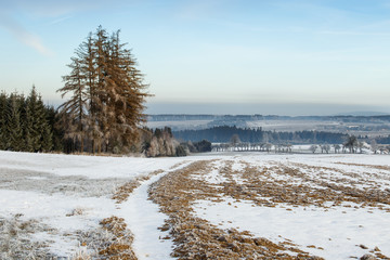 Winter landscape with frozen trees in field and blue sky