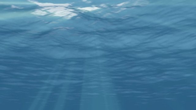 Underwater 4k video