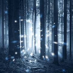 Magic fantasy firefly lights in the fairy tale foggy forest.