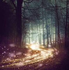 Zelfklevend Fotobehang Fantasy forest road with firefly lights. Magic colored woodland fairy tale. Dreamy foggy forest tree with winding road background. © robsonphoto