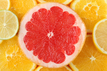 Naklejka na ściany i meble A variety of fresh citrus fruits. Background.