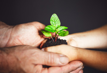 concept generation and development. elderly man and baby holding