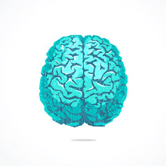 Creative concept of the human brain