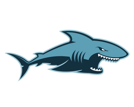 Shark logo mascot