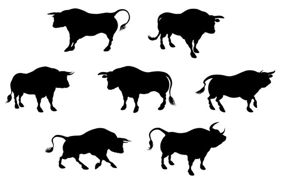 Detailed Bull Silhouettes