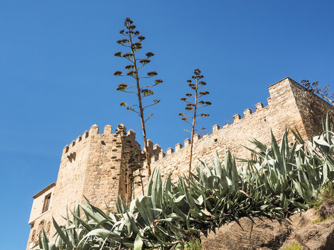 Kloster monasterio des los Reyes mit Agaven, Toledo, Spanien