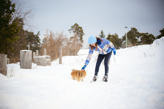 Spitz breed dog playing with a woman walking outdoors winter day. taking care of a pet, dog walking