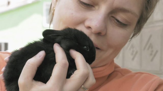 Girl holds and pets black little baby rabbit in her hands. Kind and tender rural and countryside scene.