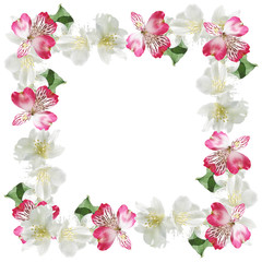 Beautiful floral background of jasmine and pink alstroemeria  