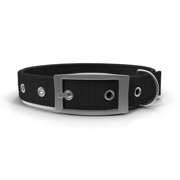 New black dog collar isolated on the white. 3D illustration