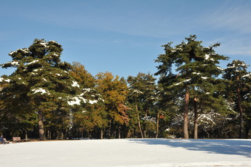 Fototapete bei efototapeten.de bestellen   