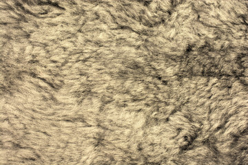 macro fur texture