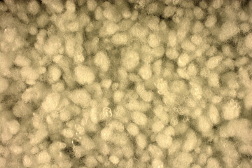 background of balls from cotton wool