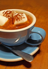 American Hot Chocolate with Marshmallows