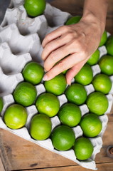 Lemon.Lime green.various sizes.
