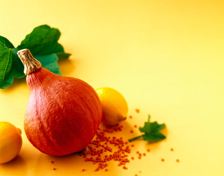 Pumpkin