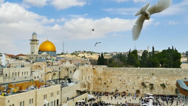 Flock of white doves over Jerusalem's western wall