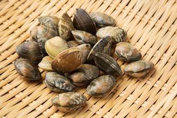 焼き鳥の盛り合わせ