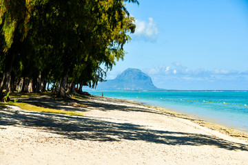 Plage de Flic en Flac avec la montagne Le Morne Brabant au loin, Ile Maurice