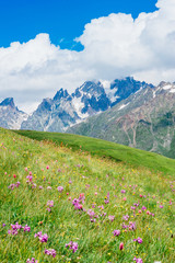 Rocky Caucasus Mountains landscape near Mestia in Svaneti, Georgia