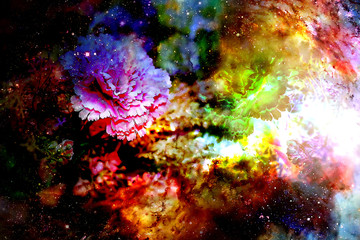 Fototapeta na wymiar abstract multicolor flower motive collage in space. Carnation flower.