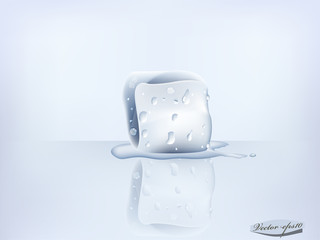 ice cube with transparent water condensation realistic vector
