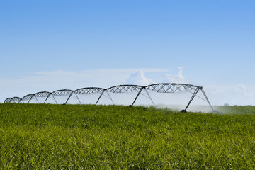 Pivot overhead irrigation on sugar cane fields in Mauritius