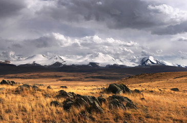 Stones on a highland steppe field of yellow dry grass in the background of snow covered mountains under a stormy cloudy dramatic sky Plateau Ukok, Altai, Siberia, Russia
