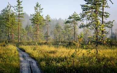 Selbstklebende Fototapete Natur Wanderweg im nebligen Morgen
