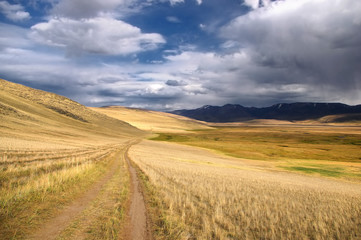 Fototapeta na wymiar Road path on a desert wild mountain plateau with the orange yellow dry grass at the background of the hills under a stormy dramatic blue sky with white clouds, Plateau Ukok, Altai, Siberia, Russia
