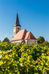 Church In Vineyard - Vrbice, Czech Republic
