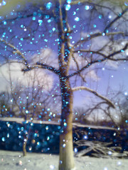 Beautiful backgrounds , with shining bokeh and colorful gradients