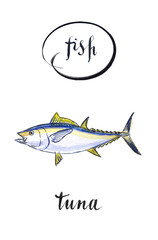 Sea fish tuna