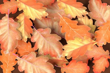 realistic 3d render of leaves