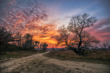 Naklejka premium sunset