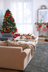 Decorated Christmas room with beautiful fir tree