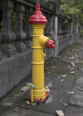 Fototapeta na wymiar Rekjavik fire hydrant