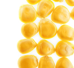 Corn grains on white background