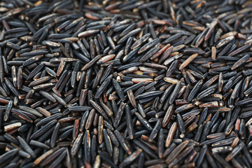 Dark wild rice background