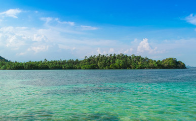 Beautiful tropical sea with the clear water and green forest