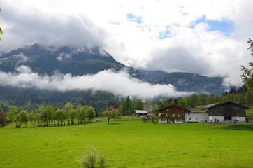 field in Austian village