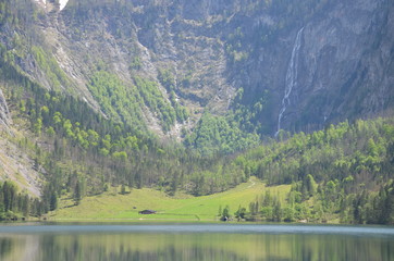 nature of alps