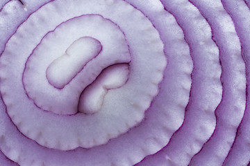 Abstract macro of a thin slice of a red onion
