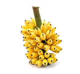 Banana bunch isolated on white background.Ripe bananas bunch iso © phanasitti